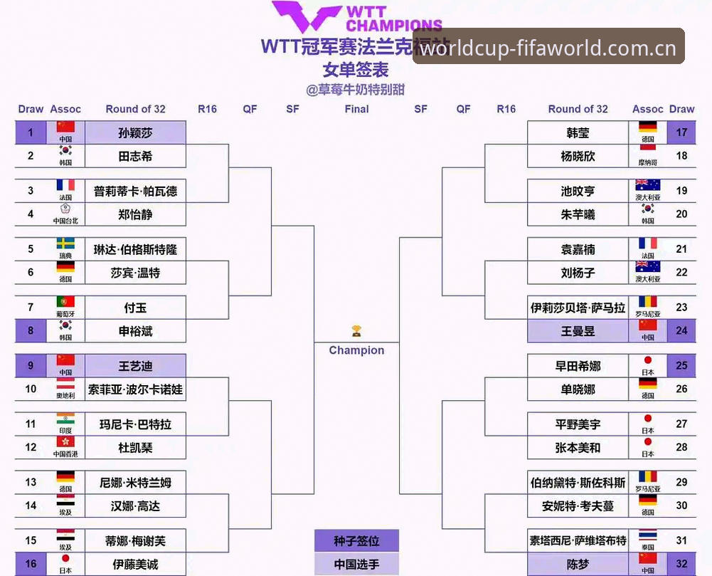 2026法网女单抽签出炉，中国金花保分压力下的实战应对指南